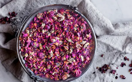 गुलाब के वो सूखे पत्ते