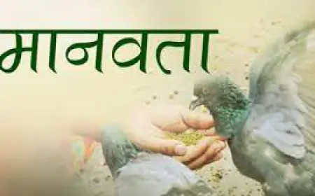 शीर्षक (मानवता)