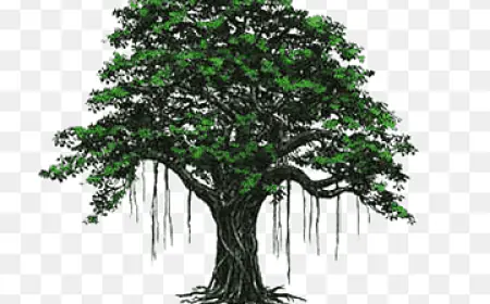 बोधि वृक्ष