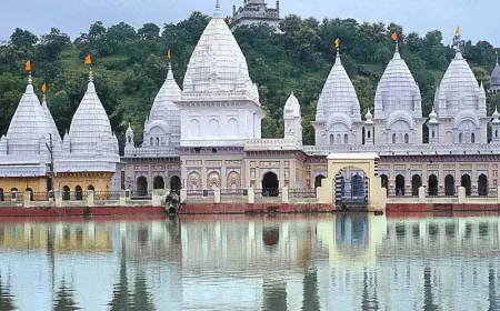 नैनागिरि में विद्वत्परिषद् का वार्षिक अधिवेशन सम्पन्न