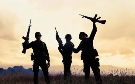 वीर सैनिक