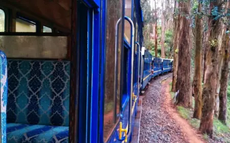 S4...19...की VIP यात्रा