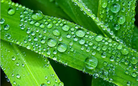 ये पानी की बूंदें