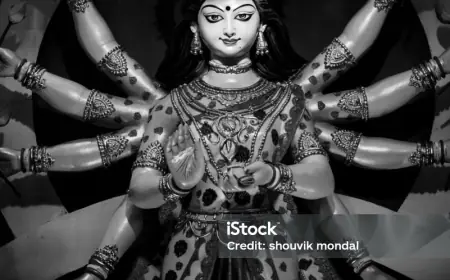 जिसे देवी रुक्मणी कहा जा रहा क्या वह अंबिका प्रतिमा है?