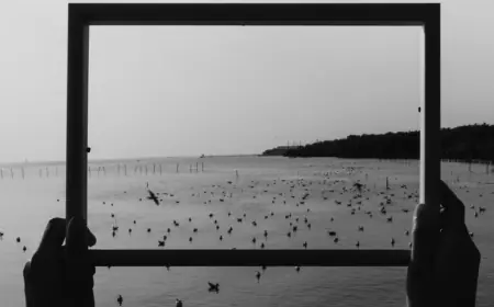 जिंदगी की कश्मकश