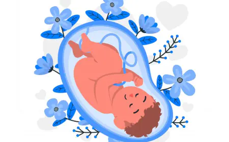 गर्भनाल या प्लेसेंटा