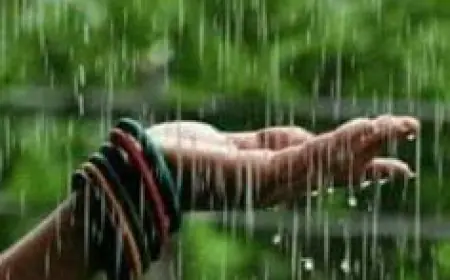 मेघा की दास्तां