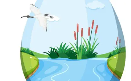 जल और हमारा पर्यावरण