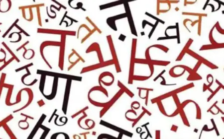 राष्ट्र भाषा ही देश को  भावनात्मक रूप से जोड़ती है