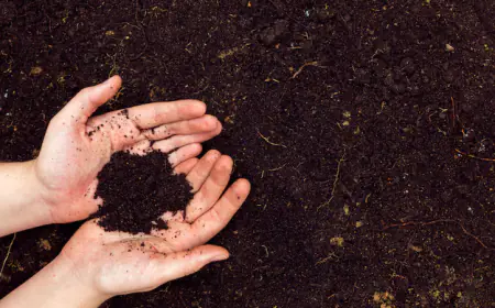 Hindi Poetry | माटी