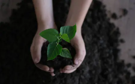 Hindi Poetry | हद