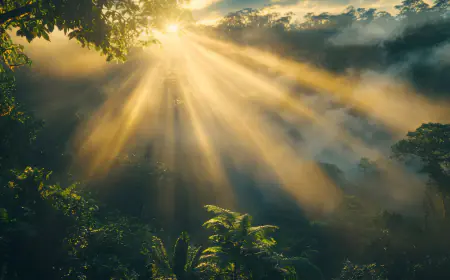 उम्मीद की एक किरण