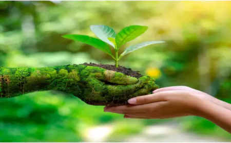 पर्यावरण