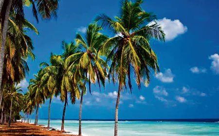 लक्षद्वीप - मेरी नजर में