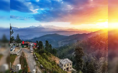 मेरी देश विदेश यात्राएँ