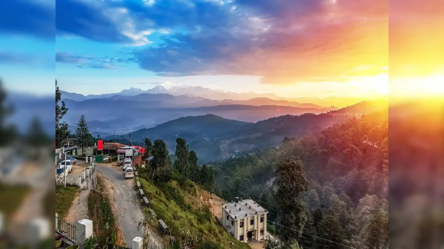 मेरी देश विदेश यात्राएँ