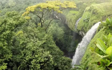 प्रकृति के शिक्षक -  एक नई दृष्टिकोण
