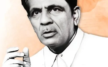 शेर एक, आयाम अनेक