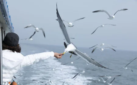 पल बीत गए