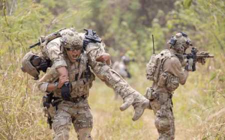 घायल सैनिक : wounded soldier