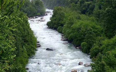 भारत की नदियाँ : एक राष्ट्रीय परिदृश्य