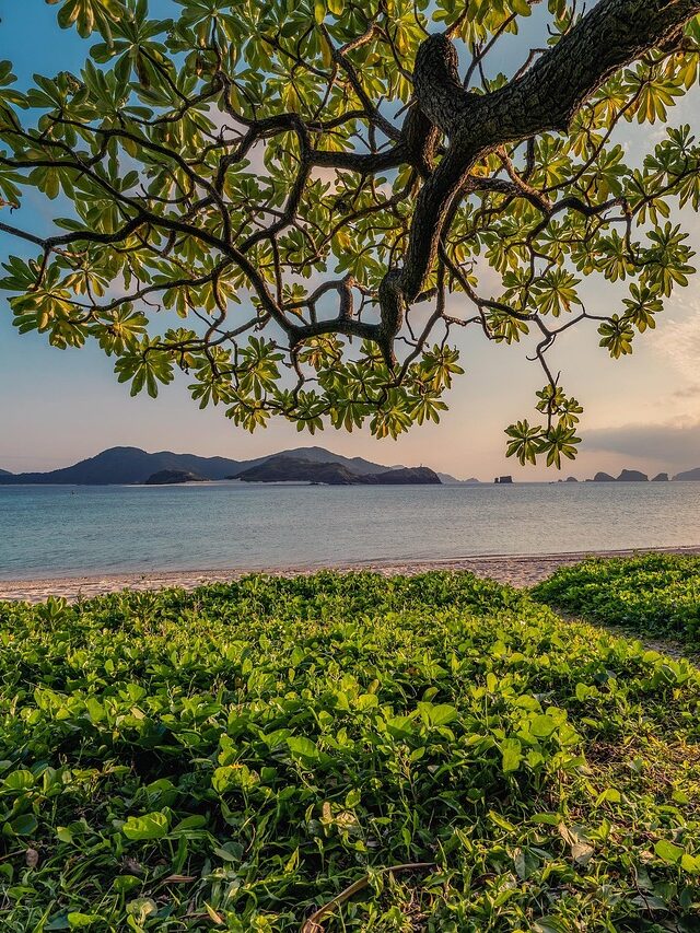 QUOTES ABOUT NATURE.