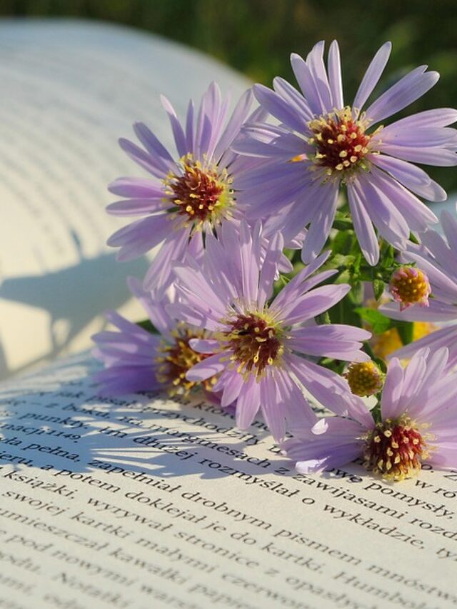 फूल पर शायरी